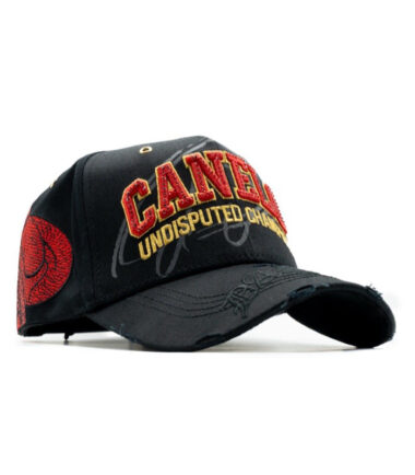 5_e3720580-06a8-47c4-9ed1-682ae9b425af